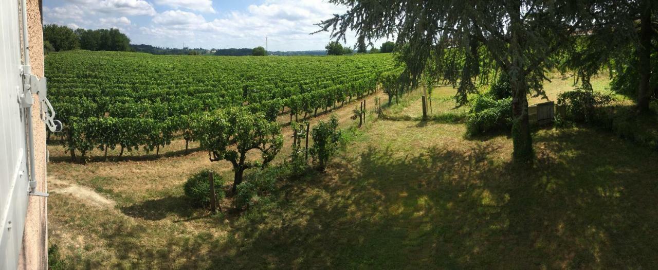 Mirande Montagne-Saint Emilion Apartman Montagne  Kültér fotó